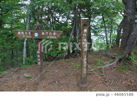 神奈川県西丹沢の畔ヶ丸の山頂標識 46065586