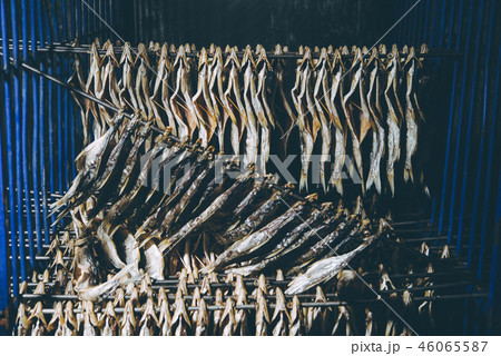 fish factory process 46065587