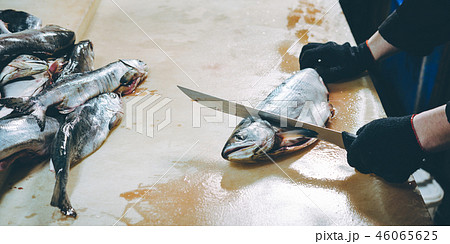 fish factory process 46065625