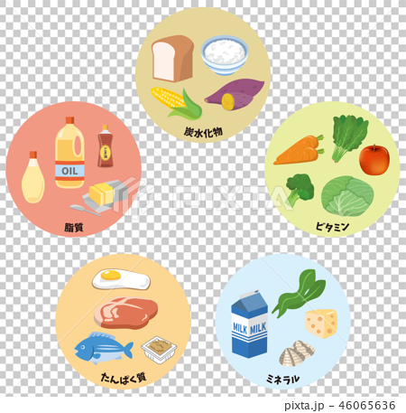 五大栄養素のイメージイラストのイラスト素材