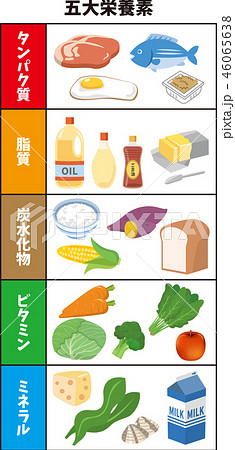 五大栄養素のイメージイラストのイラスト素材