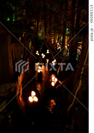 安曇野神竹灯(かみあかり):穂高神社 水路の竹灯篭 安曇野市穂高 安曇野神竹灯(かみあかり):穂高神社 水路の竹灯篭 安曇野市穂高 46066514