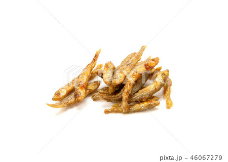 わかさぎ揚物 46067279