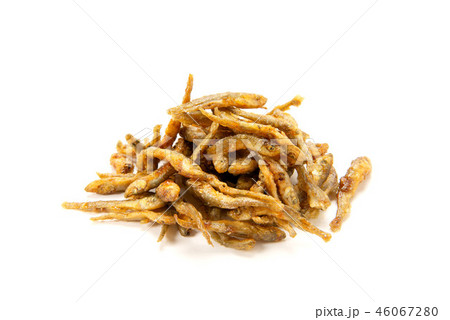 わかさぎ揚物 46067280