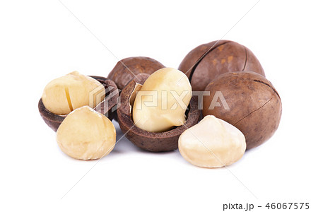 Macadamia nuts, isolated on white background. Shelled and unshelled macadamia. 46067575