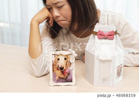 ペットロス ペットロス 46068359