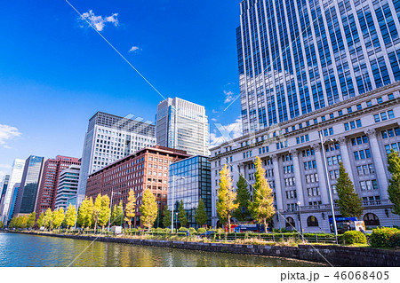 （東京）馬場先濠のイチョウ並木　紅葉 46068405