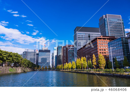 (東京)馬場先濠のイチョウ並木 紅葉 (東京)馬場先濠のイチョウ並木 紅葉 46068406