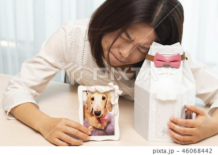ペットロス ペットロス 46068442