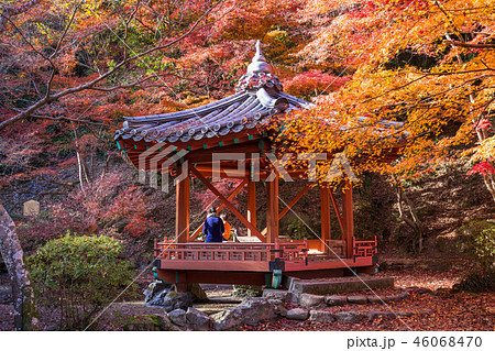 岩国紅葉谷公園 紅葉の六角堂 岩国紅葉谷公園 紅葉の六角堂 46068470