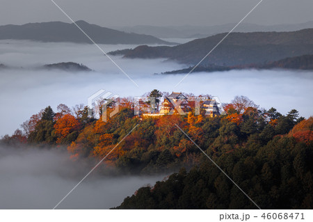 雲海に浮ぶ備中松山城　秋 46068471