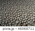 ガラパゴスの自然 46068711