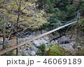 秘境大杉谷の長い吊り橋 46069189