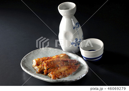 秋刀魚の蒲焼きと日本酒（湯気あり） 46069279