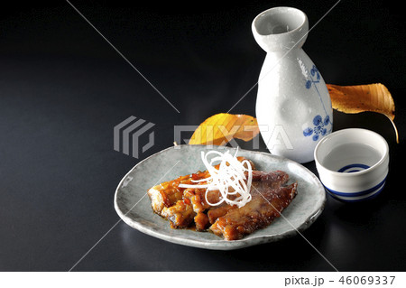 秋刀魚の蒲焼きと日本酒（湯気あり） 46069337