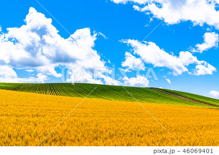 《北海道》夏の大空と田園風景・美瑛の丘 《北海道》夏の大空と田園風景・美瑛の丘 46069401