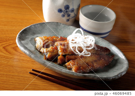 秋刀魚の蒲焼きと日本酒（湯気あり） 46069485