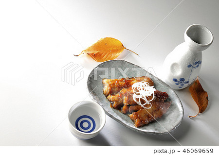 秋刀魚の蒲焼きと日本酒(湯気あり) 秋刀魚の蒲焼きと日本酒(湯気あり) 46069659