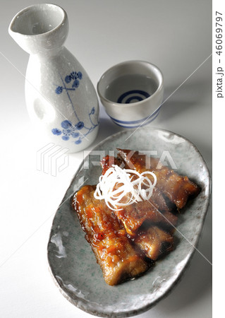 秋刀魚の蒲焼きと日本酒（湯気あり） 46069797