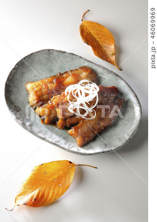 さんまの蒲焼き（湯気あり） 46069969