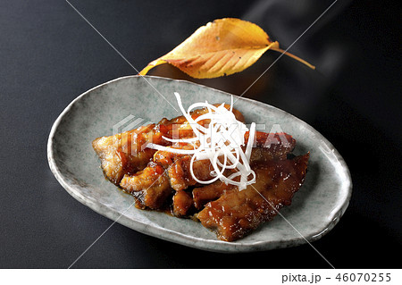 秋の味覚～さんま～（湯気あり） 46070255