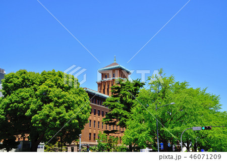新緑と神奈川県庁 46071209
