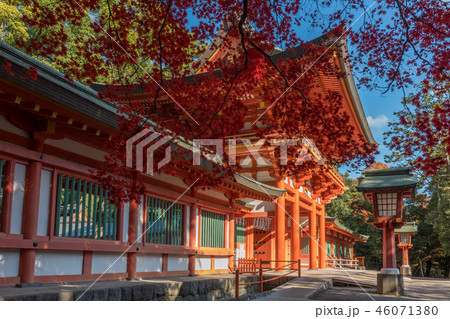 大宮氷川神社楼門と紅葉 大宮氷川神社楼門と紅葉 46071380