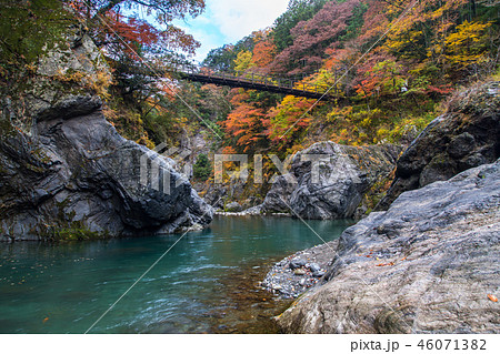 奥多摩鳩ノ巣渓谷の紅葉と吊り橋の写真素材