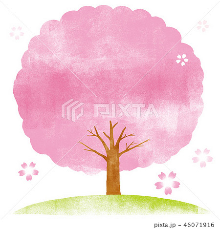 桜の木 水彩イラスト 桜の木 水彩イラスト 46071916