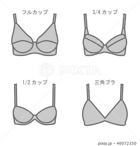 ブラジャー　種類 46072350