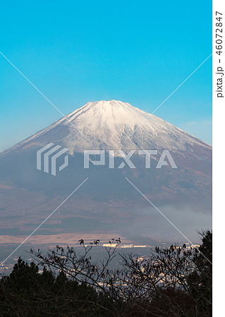 御殿場からの富士山 御殿場からの富士山 46072847