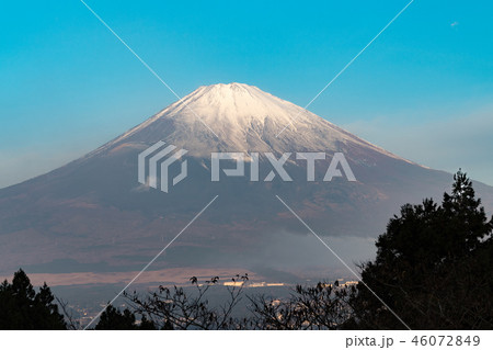 御殿場からの富士山 46072849
