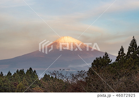 御殿場からの富士山 御殿場からの富士山 46072925