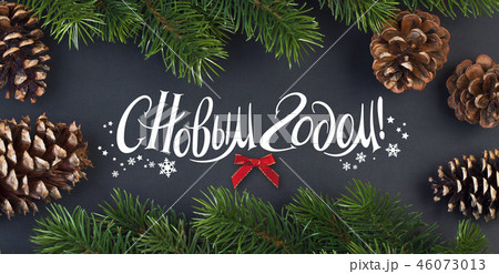 Branch of Christmas tree and cones 46073013