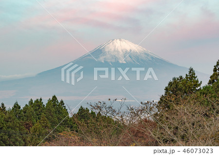 御殿場からの富士山 御殿場からの富士山 46073023