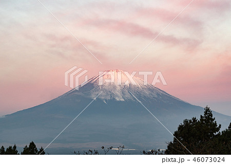 御殿場からの富士山 御殿場からの富士山 46073024