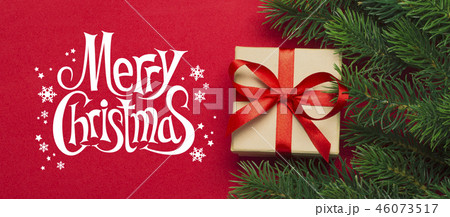 Branches of a Christmas tree Branches of a Christmas tree 46073517