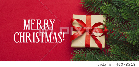 Branches of a Christmas tree Branches of a Christmas tree 46073518