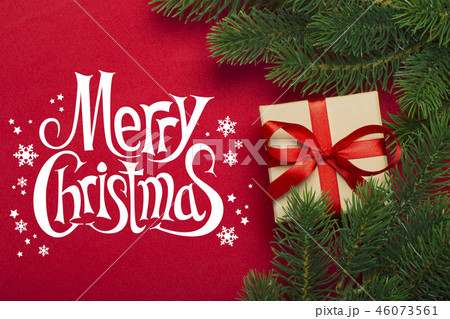 Christmas tree and gift Christmas tree and gift 46073561