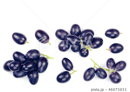 bue grapes isolated on the white background with copy space for your text. Top view. Flat lay 46073831