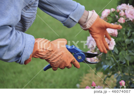 Hands wearing gloves while working at garden Hands wearing gloves while working at garden 46074007