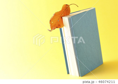 読書の秋 読書の秋 46074211