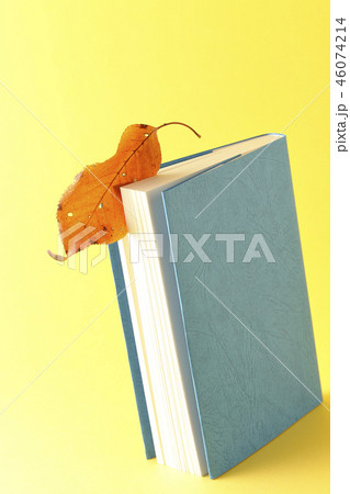 読書の秋 46074214