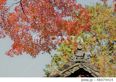 鬼瓦と紅葉 鬼瓦と紅葉 46074414
