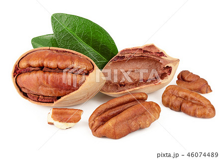 pecan nut with green leaves isolated on white background pecan nut with green leaves isolated on white background 46074489