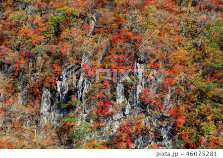 いろは坂剣ヶ峰の断崖の紅葉 46075281