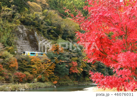 水郡線「色とりどりな紅葉」真っ赤なモミジを前景に 46076031