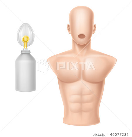 human body for training of artificial respiration 46077282