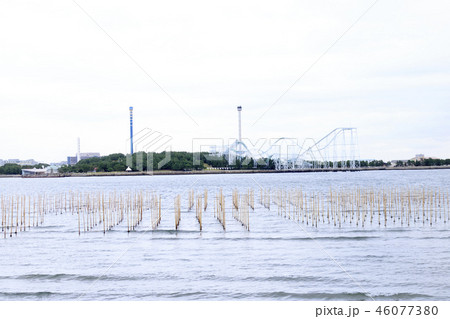 野島公園 46077380