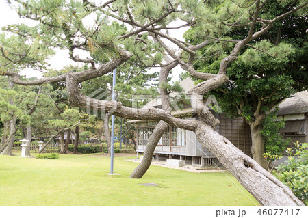 伊藤博文別邸 伊藤博文別邸 46077417